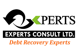 Experts Consult Limited